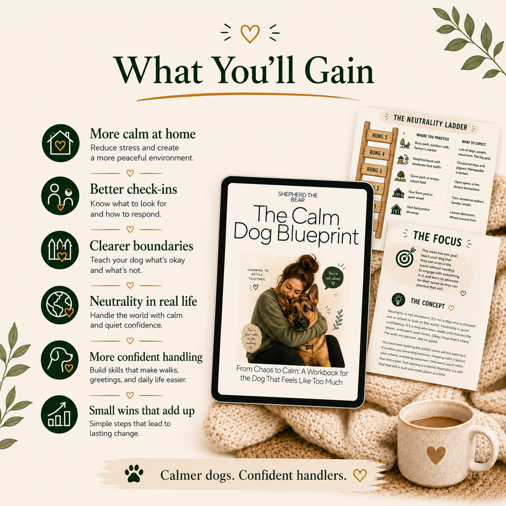 The Calm Dog Blue Print Ebook + Weekly Workbook Bundle